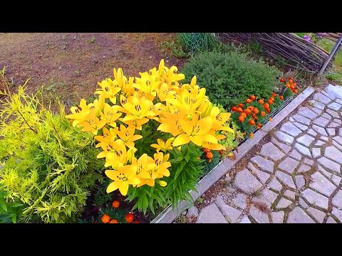 VLOG: ТАВОЛГИ! 20.07.20