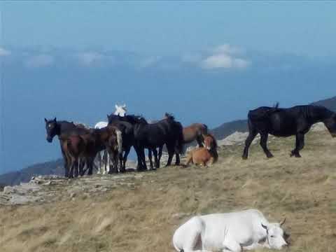 Croce del Pratomagno Valdarno Italy in MTB