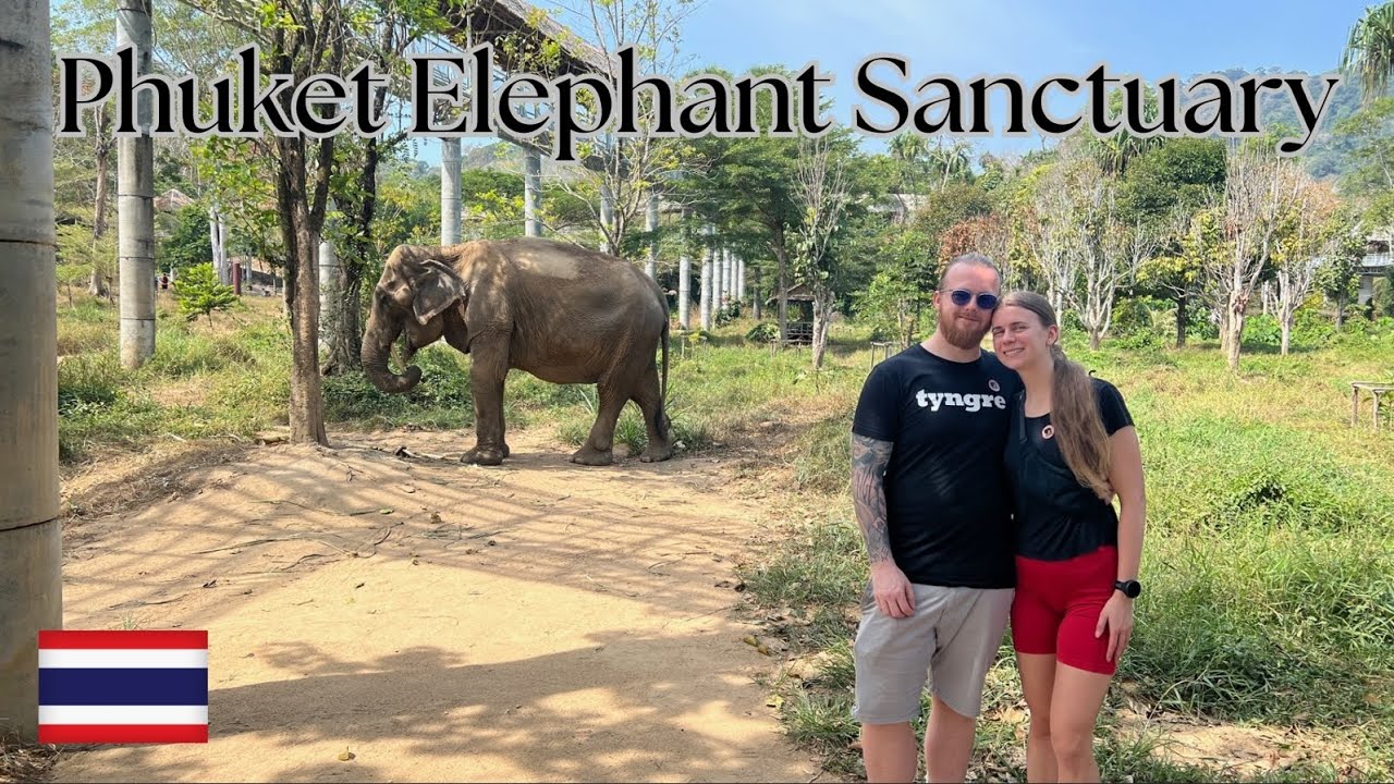 Explore the captivating Phuket Elephant Sanctuary, a must-visit for all travelers.