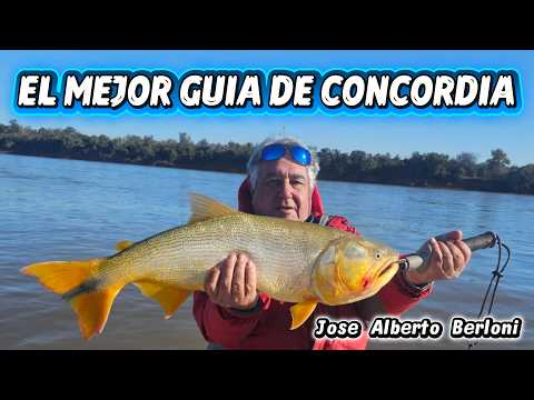 No te pierdas los Dorados de Concordia ... Bestias enormes