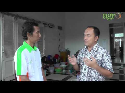 Vitamin untuk potensi pada pria di apotek untuk membeli Karena penyakit menular seksual mempengaruhi potensi
