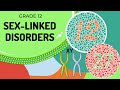 Sex Linked Genetic Diagrams
