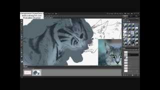 Cat Speedpaint.::.I'll Wait For You