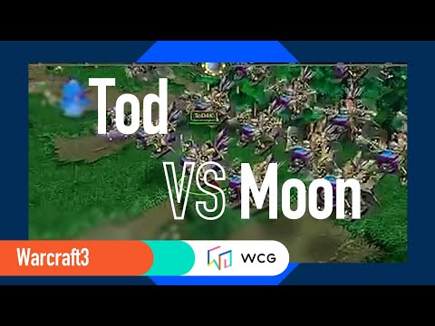 WCG 2007 Grand Final Day 1 Warcraft 3 Group - Tod vs Moon