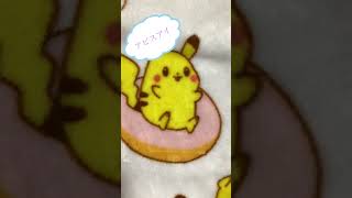 毎日ポケカ開封344日目
