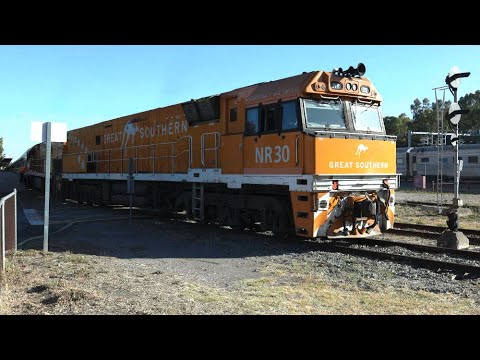 Great Southern train prepares for trip from Adelaide to Brisbane