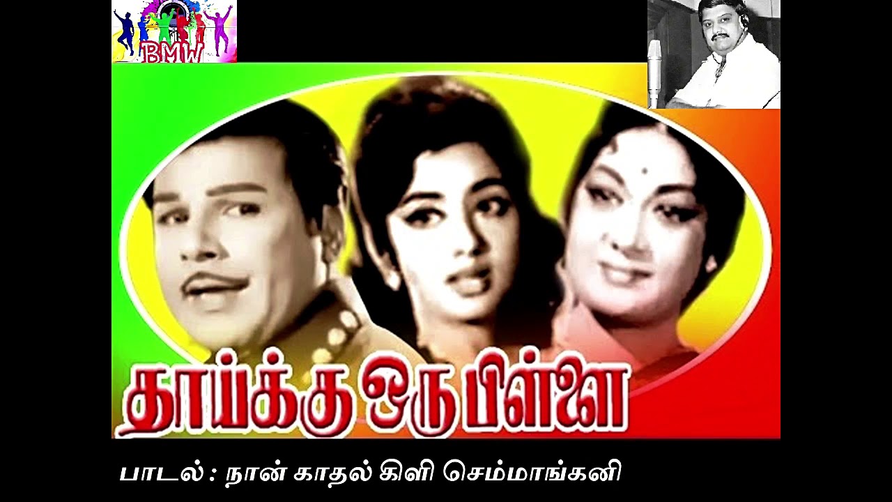 Naan Kathal Kili Song Lyrics | Thaaikku Oru Pillai | P. Susheela, S. P. Balasubrahmanyam