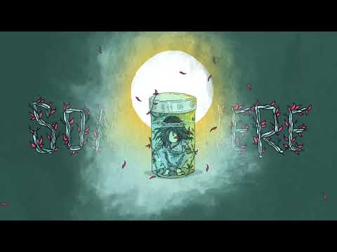 Video thumbnail for Forest