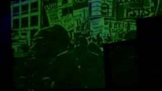 le tigre :: 03.15.05