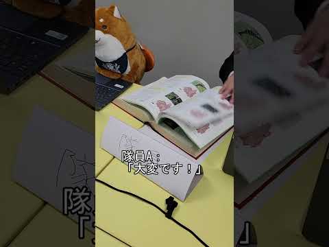 「幻のブッポウソウを探せ！第二弾」