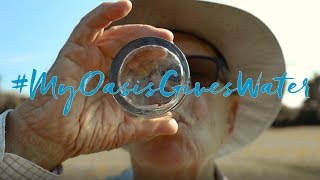 OASIS Fruit Infusion Water Flask (Aquamarine)