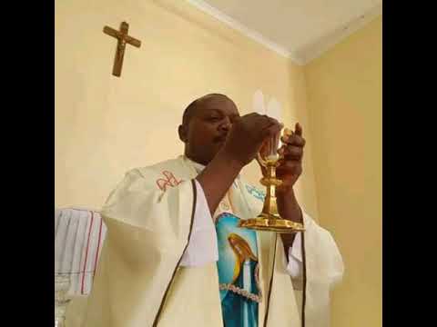 Daily Bread Versions,Saturday 26th November 2022,with Rev Fr Eustace Siame A Salesian of Don Bosco.