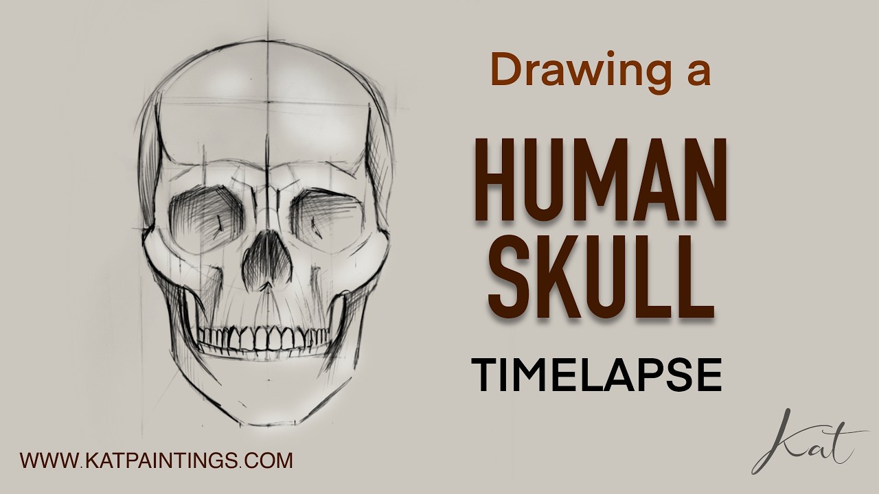 Drawing a Human Skull from Memory | Proportions Without Reference