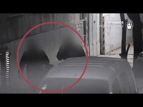 Intentaron desvalijar una fábrica en Vicente López, las cámaras los descubrieron y terminaron detenidos