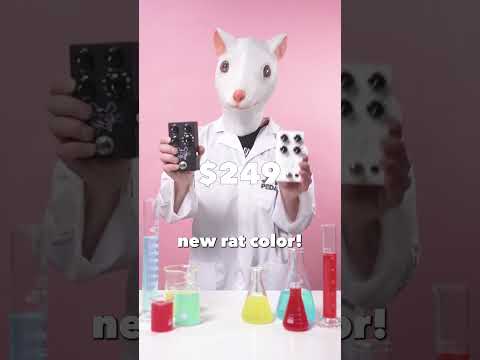 JHS PACKRAT WHITE image 2