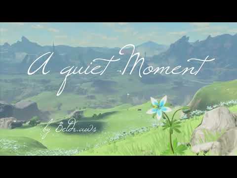 A quiet Moment from Hyrule Warriors Age of Calamity ~ by Beldr.aws