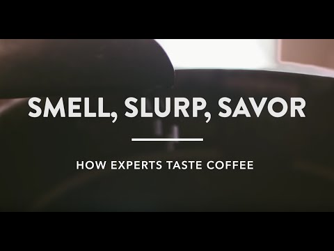 聞、啜、品：專家是如何品評咖啡的呢？ (Smell, Slurp, Savor: How Experts Taste Coffee)