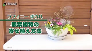 ラフィニーボウル｜ 秋苗の寄せ植え方法 