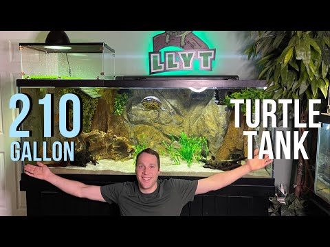 210 Gallon Turtle Tank - THIS TANK IS HUGE!