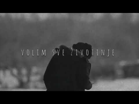 Ukov - Pijanista ( Lyrics video )