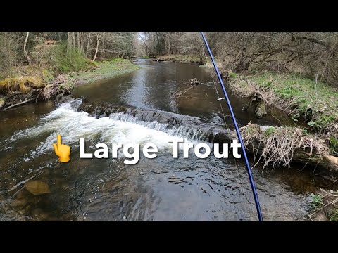 SMALL STREAM MAGIC (How Many BIG WILD TROUT Can I Catch?) #fishing #trout #mepps 