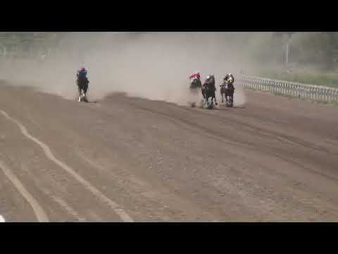 BELTRAN   10°  PELUCHE   11-12-22