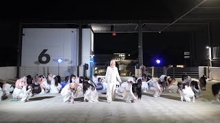 Dream Set Dance Showcase @ UCSD | Kpop, Hiphop [KUT Dance Team]