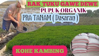 Download lagu KOHE KAMBING, BIOSAKA Istimewa mp3