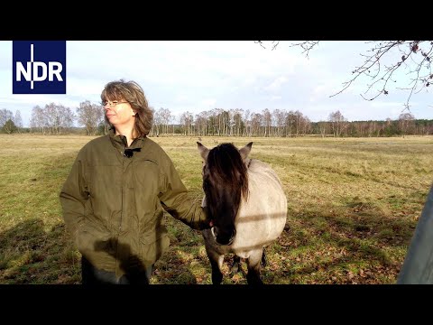 Video Thumbnail: Tierischer Einsatz für die Heide | NaturNah | NDR