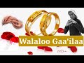 Walaloo Gaa Ilaa By Muhammad Hasan