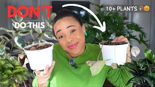 🥀 10+ Plants didn’t make it to 2025 🏷️What went wrong & What I’ve learned 😅