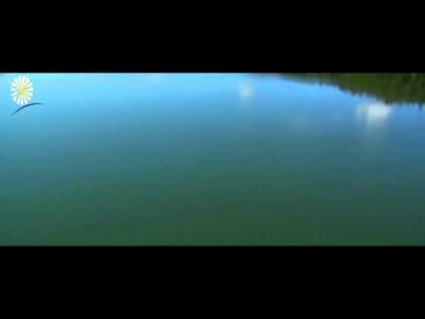 por que el coran esta en La Lengua Arabe Reportaje Religiones celestiales