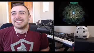 Amorphis - "The Bee (OFFICIAL LYRIC VIDEO)" (REVIEW/REACTION)