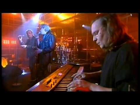 Daniel Darc + Bashung - Canal + - Dansez Sur Moi (Nougaro) - 2004