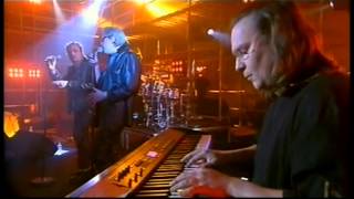 Daniel Darc + Bashung - Canal + - Dansez Sur Moi (Nougaro) - 2004