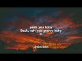 Pitbull Back In Time Lyrics Ft Men In Black III
