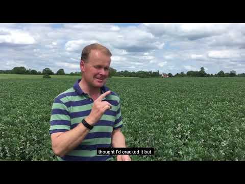 Edward Vipond talks about black-grass resistance management