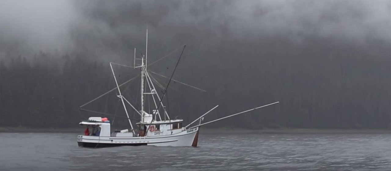 Alaska Salmon Bites // Savory Sea Kelp + Sesame // 6 Pack video thumbnail