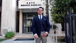 mamalı