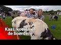 Kaas, koeien en de boerderij - Brabants Buske