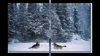 location cold. Catamenia