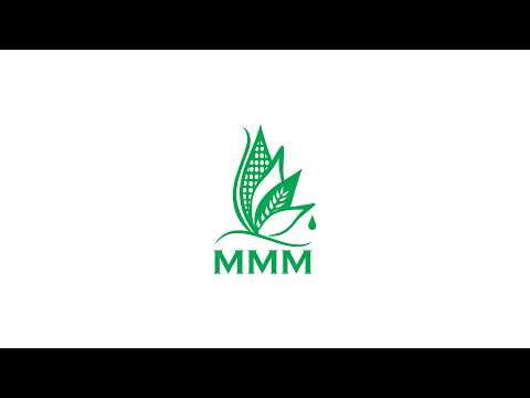 Mombasa Maize Millers V5 (East Africa)