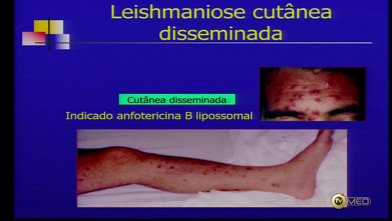 Valdir Sabbaga Amato-5