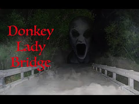Exploring Donkey Lady Bridge In the Middle of the Night (CAUGHT NOISES)!! San Antonio TX