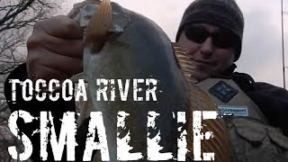 preview picture of video 'Toccoa River Kayak Fishing'