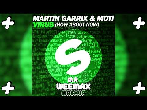 Martin Garrix - Virus X Flo Rida - Low (MR. WEEMAX MASHUP)