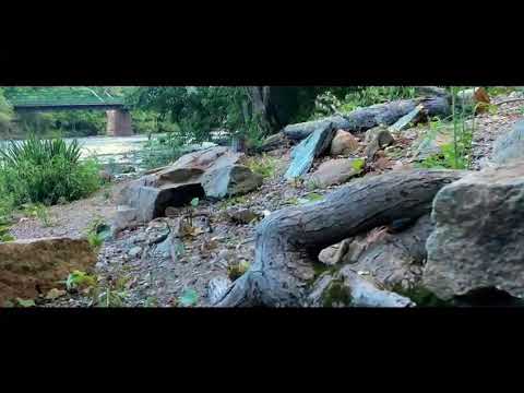 Vindo Bodona - Pedra Preciosa ( Official video )