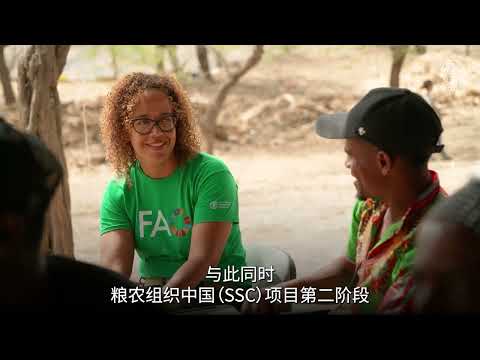 粮农组织—中国南南合作项目：推动小岛屿发展中国家（SIDS）农业粮食系统转型，并推进全球重要农业文化遗产（GIAHS）第二阶段