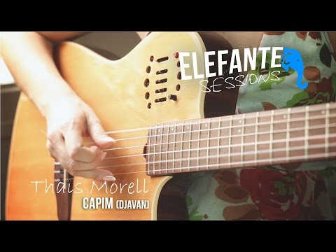 ELEFANTE SESSIONS | Thais Morell - Capim (Djavan)