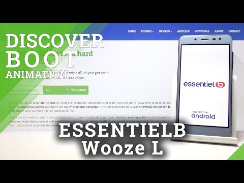 ESSENTIELB Wooze L Boot Animation and Sound
